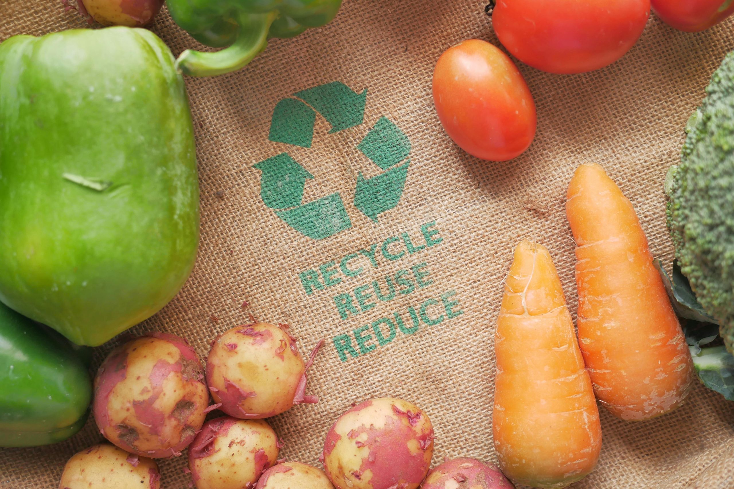 Conscious Consumption: Zero Waste, Ethical Sourcing, and the Circular Economy in Food