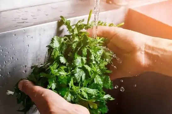 Cyclospora Outbreak Forces Restaurants to Change Menus: What Diners Need to Know About the Food Safety Crisis
